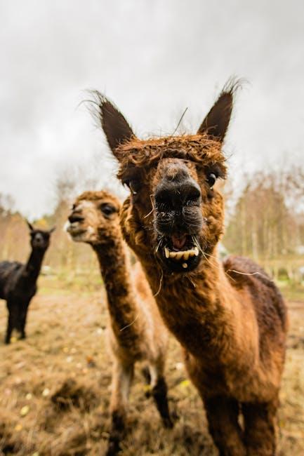Future Trends: How Llama is Shaping the AI Landscape and What Developers Should Know