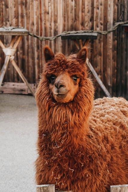 Leveraging Llama for Enhanced Integration in Machine learning Projects