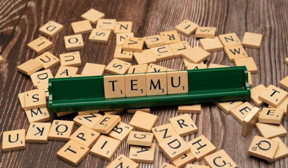 What Temu’s and Shein’s Travails Mean for Snap, Google and Meta