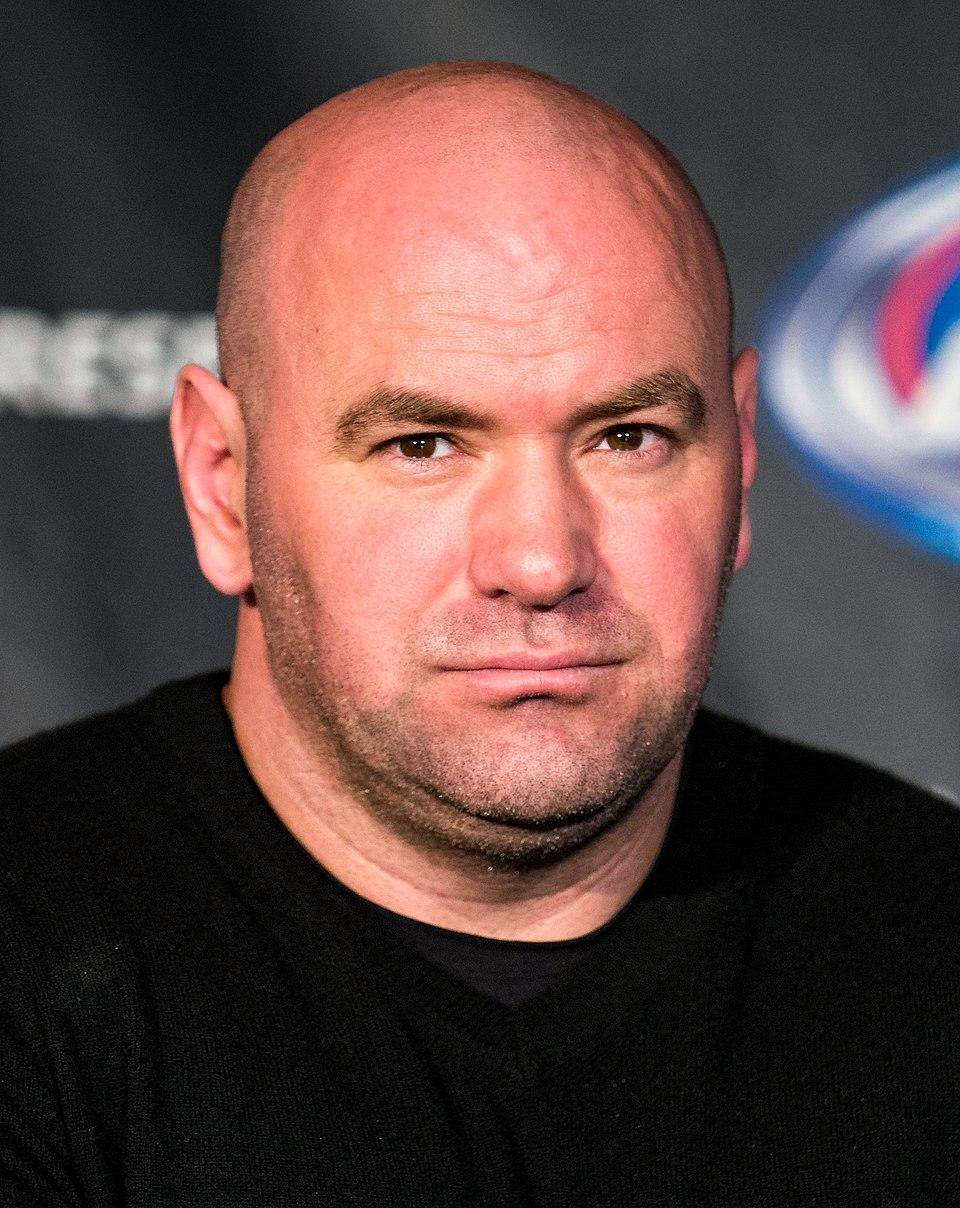 Diverse Perspectives The Role of Dana White and Political Connections in Meta's Growth Strategy