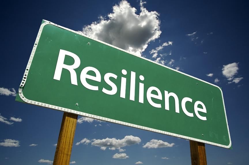 Recommendations for Resilience: Strengthening Legal and AI Frameworks
