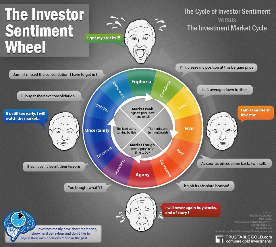 Analysis of Investor Sentiment and Future Growth Prospects