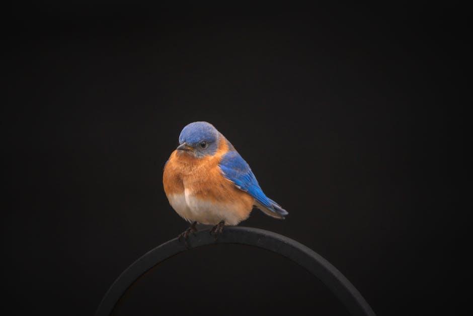 Navigating the Change: Resources​ and Tools for a Smooth Migration