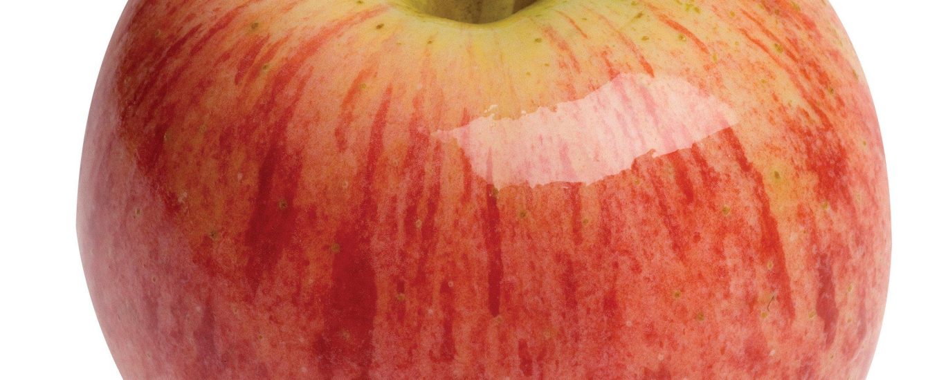 Apple May Add AI Search Engines to Safari As Google Use Drops
