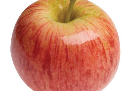 Apple May Add AI Search Engines to Safari As Google Use Drops