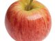 Apple May Add AI Search Engines to Safari As Google Use Drops