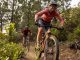 The near joy of biking with Ray-Ban Meta glasses