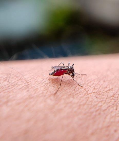 Meta-analysis: Zika-infected pregnant moms 4 times more likely to have babies with microcephaly