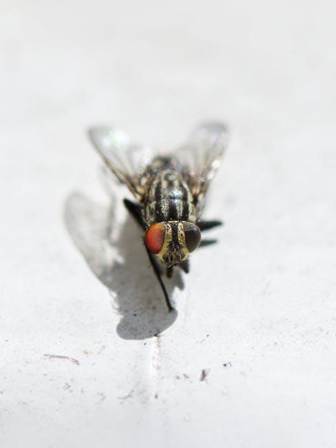 Common Bugs and Glitches Impacting ​Data Accuracy