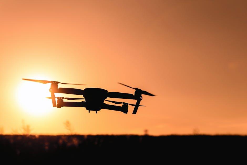 Strategic Recommendations for Brands Embracing Video Innovation