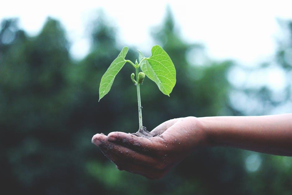 Comparative Analysis of Growth Potential and Revenue Streams