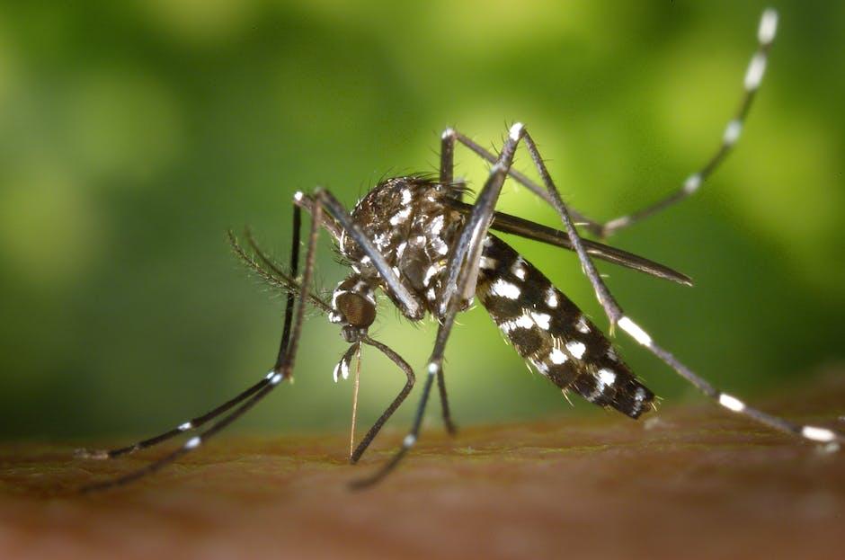 Highlighting hope​ Amidst the Zika Crisis: Advances in Research and prevention