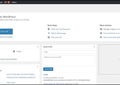 WordPress Robots.txt: What Should You Include?