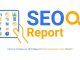 Your 2025 guide to SEO reporting and tracking