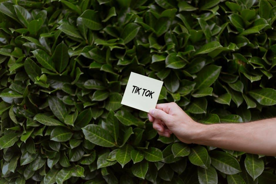 Strategies to ​Maximize Impact from TikTok's $1‍ Million Advertising Boost