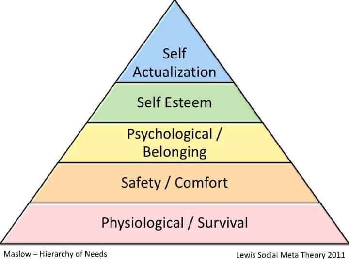 Understanding Meta's Motivations and Strategic intentions