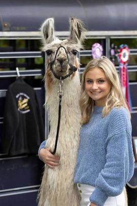 Exploring the Shortcomings of LlamaCon and Its Impact on Meta's Brand