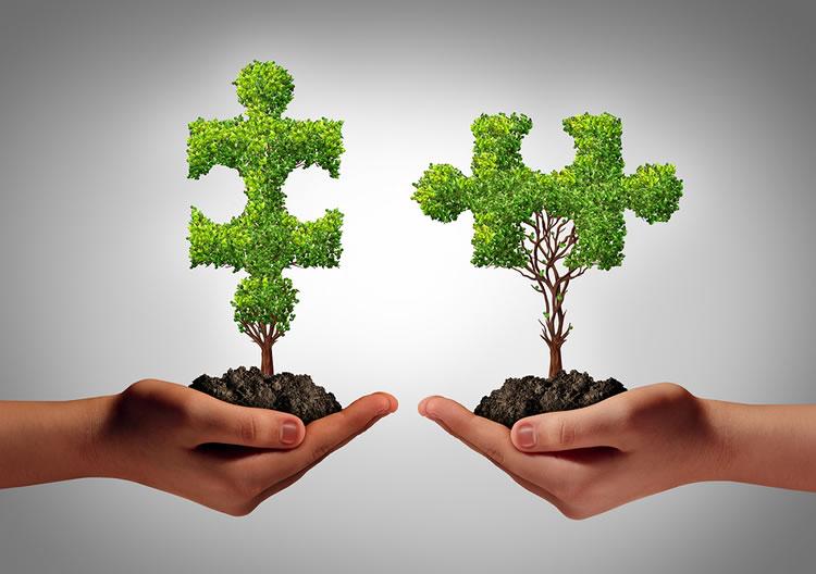 Cultivating direct Relationships to Strengthen Brand Identity