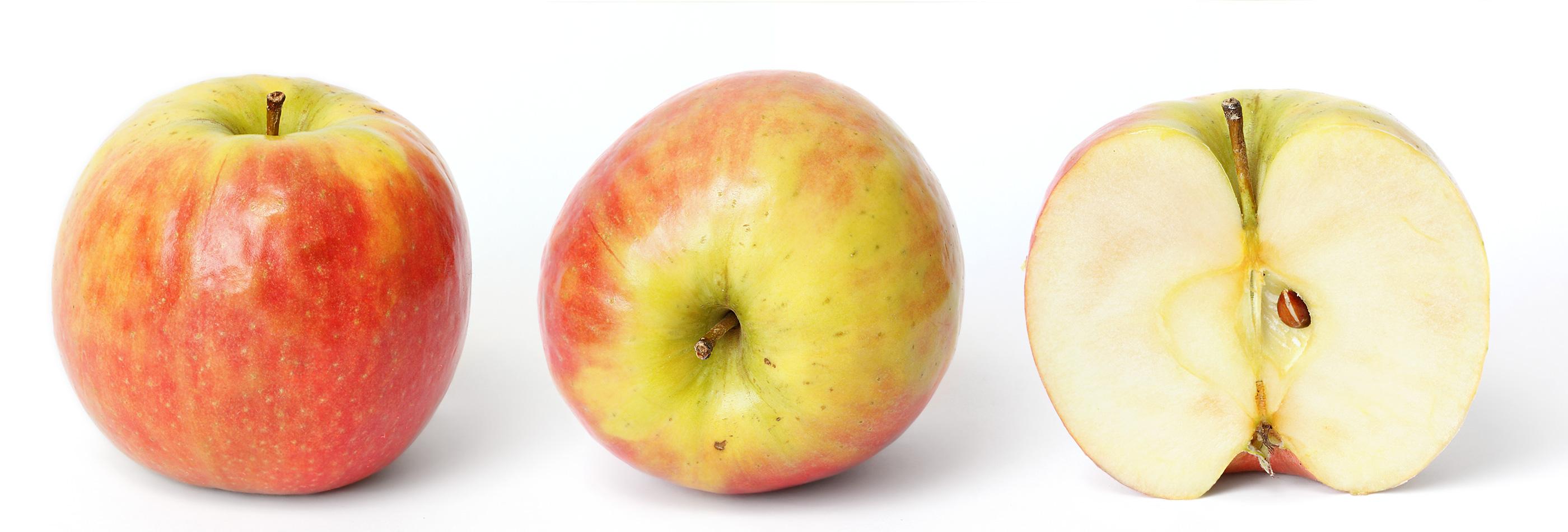 Exploring the‌ Shift: Apple's Potential Move Towards AI⁢ Search Integration in‍ safari