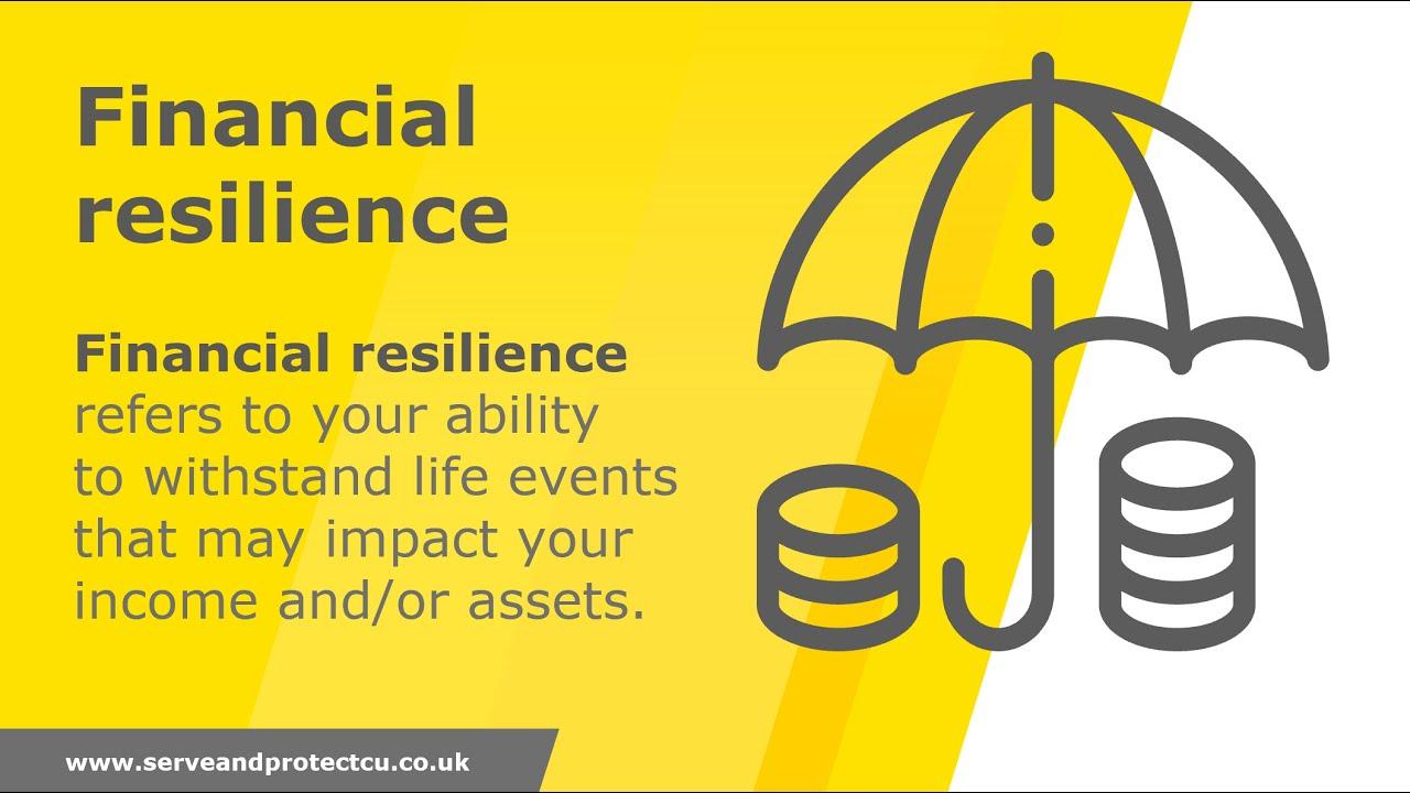 Analyzing Financial Resilience and Growth Potential