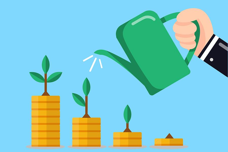 Strategies for Sustained Growth in Evolving Economies