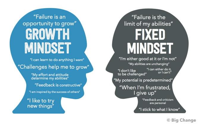 cultivating a​ Growth Mindset for Professional Progress