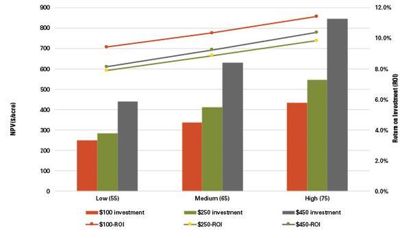 Recommendations for Maximizing the Long-term Benefits of Reforestation Investments