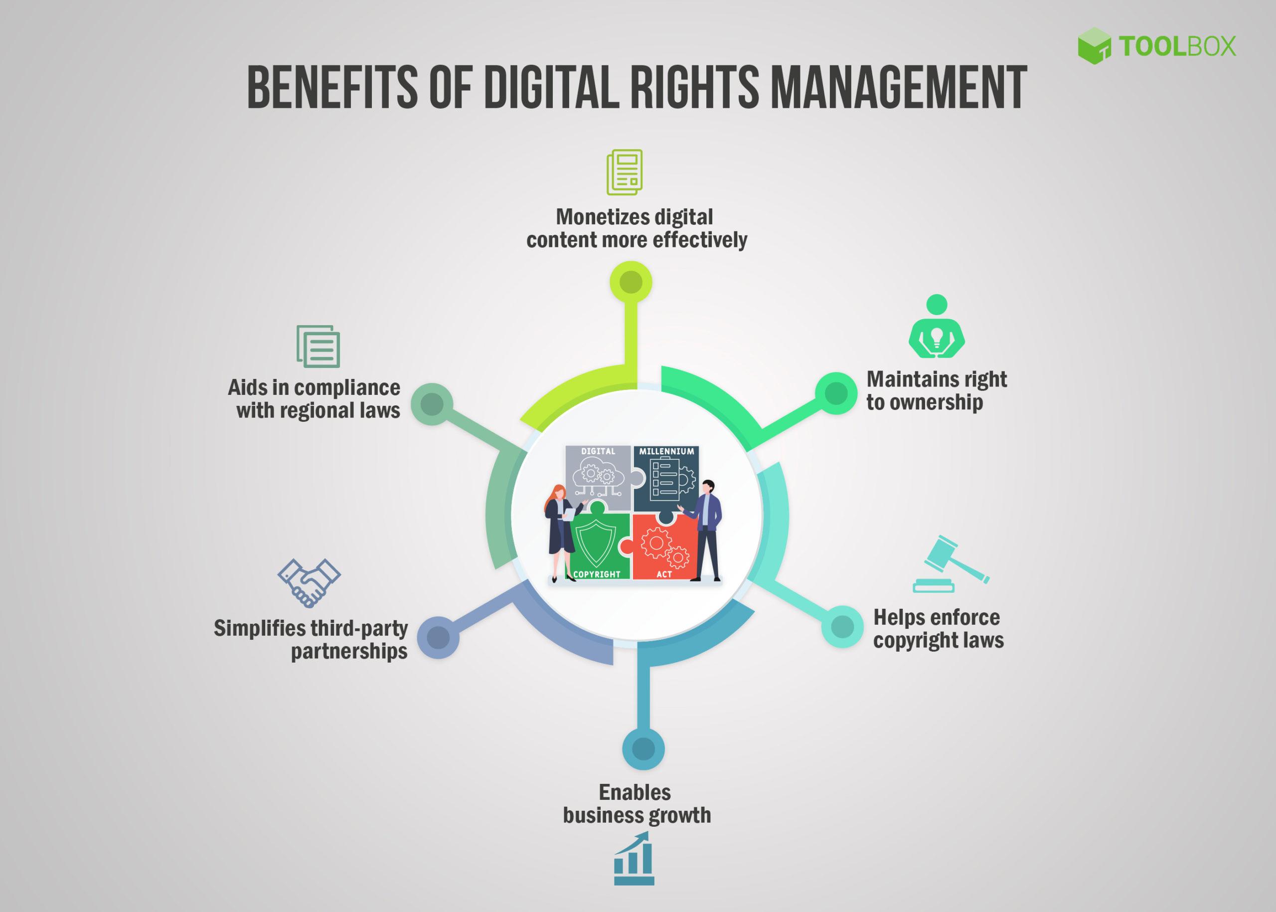 Recommendations for Stakeholders: Best Practices for Copyright Management in AI Development