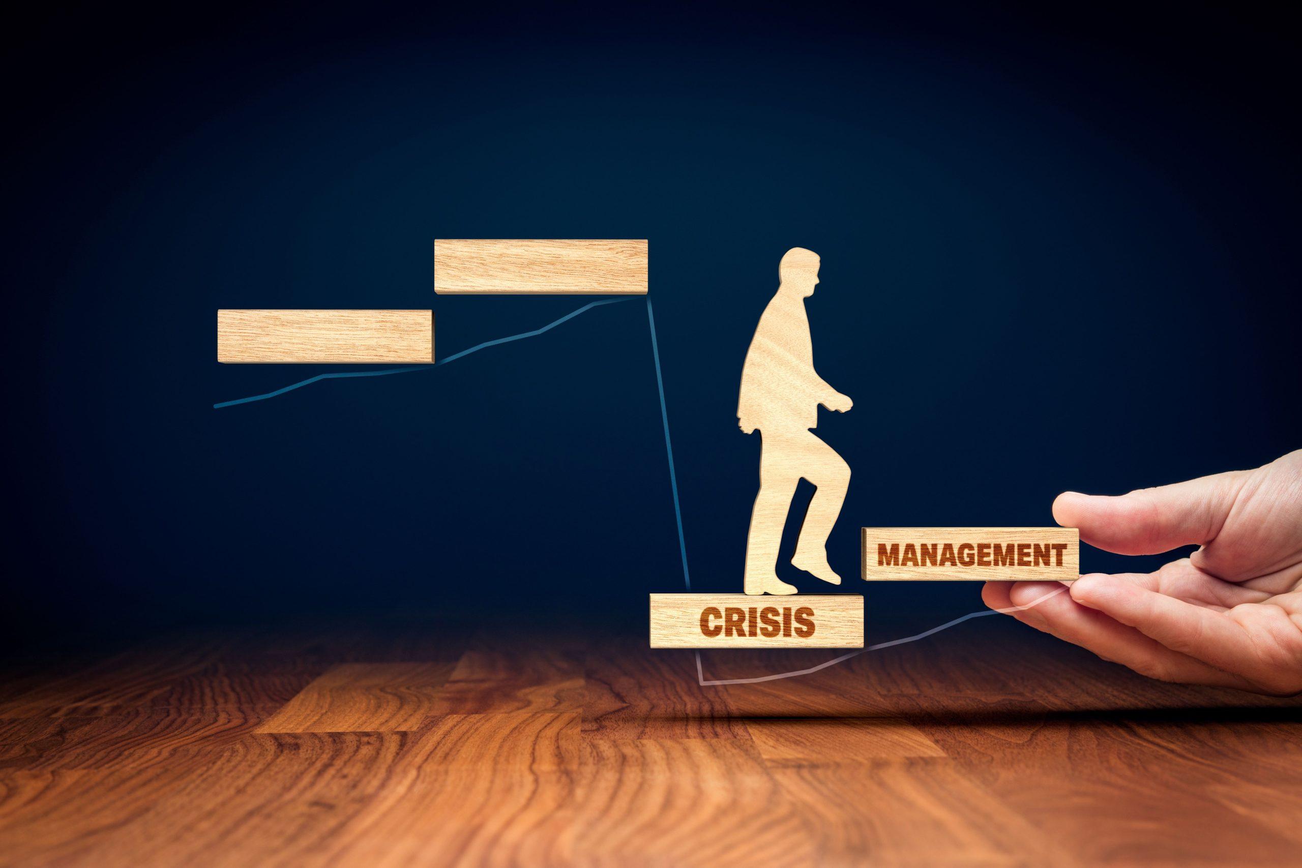 Crisis as Catalyst: Leveraging Challenges for Strategic Innovations