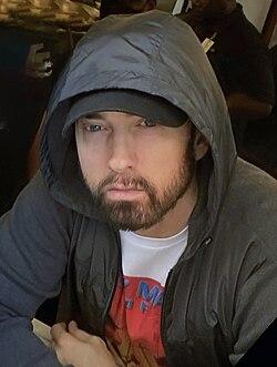 Eminem Strikes Back: Protecting Digital Identity in the​ Social Media Era